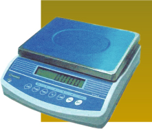 PORTABLE DIGITAL BALANCES